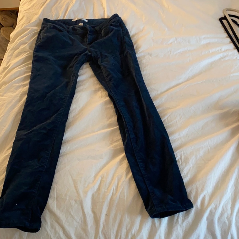 Blue Velvet Pants